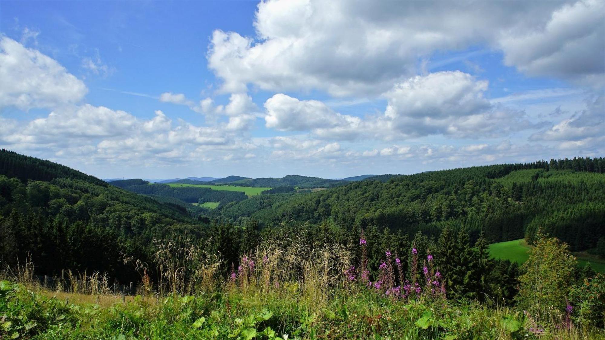 Ferienwohnung Peitz Eslohe Buitenkant foto