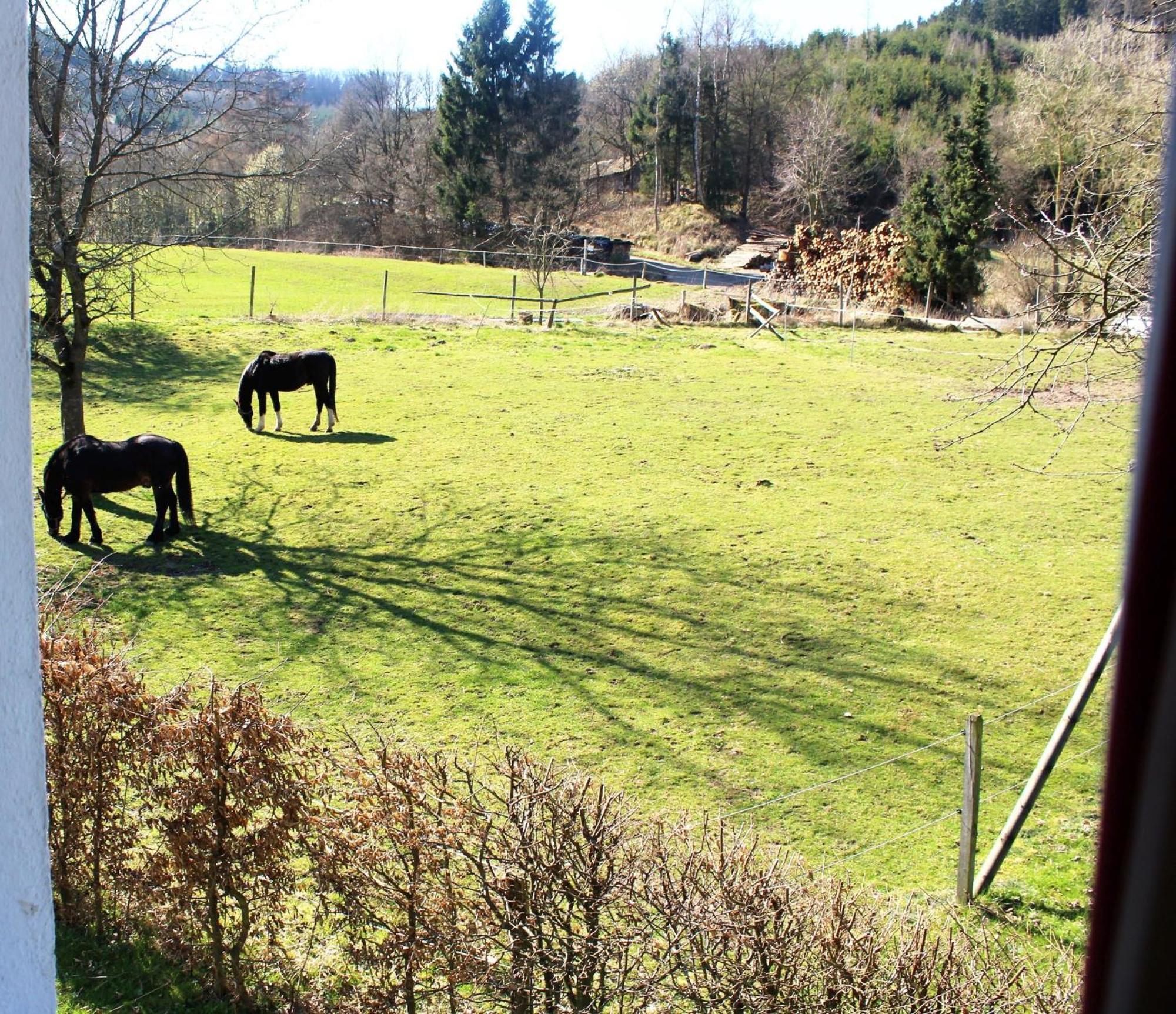 Ferienwohnung Peitz Eslohe Buitenkant foto