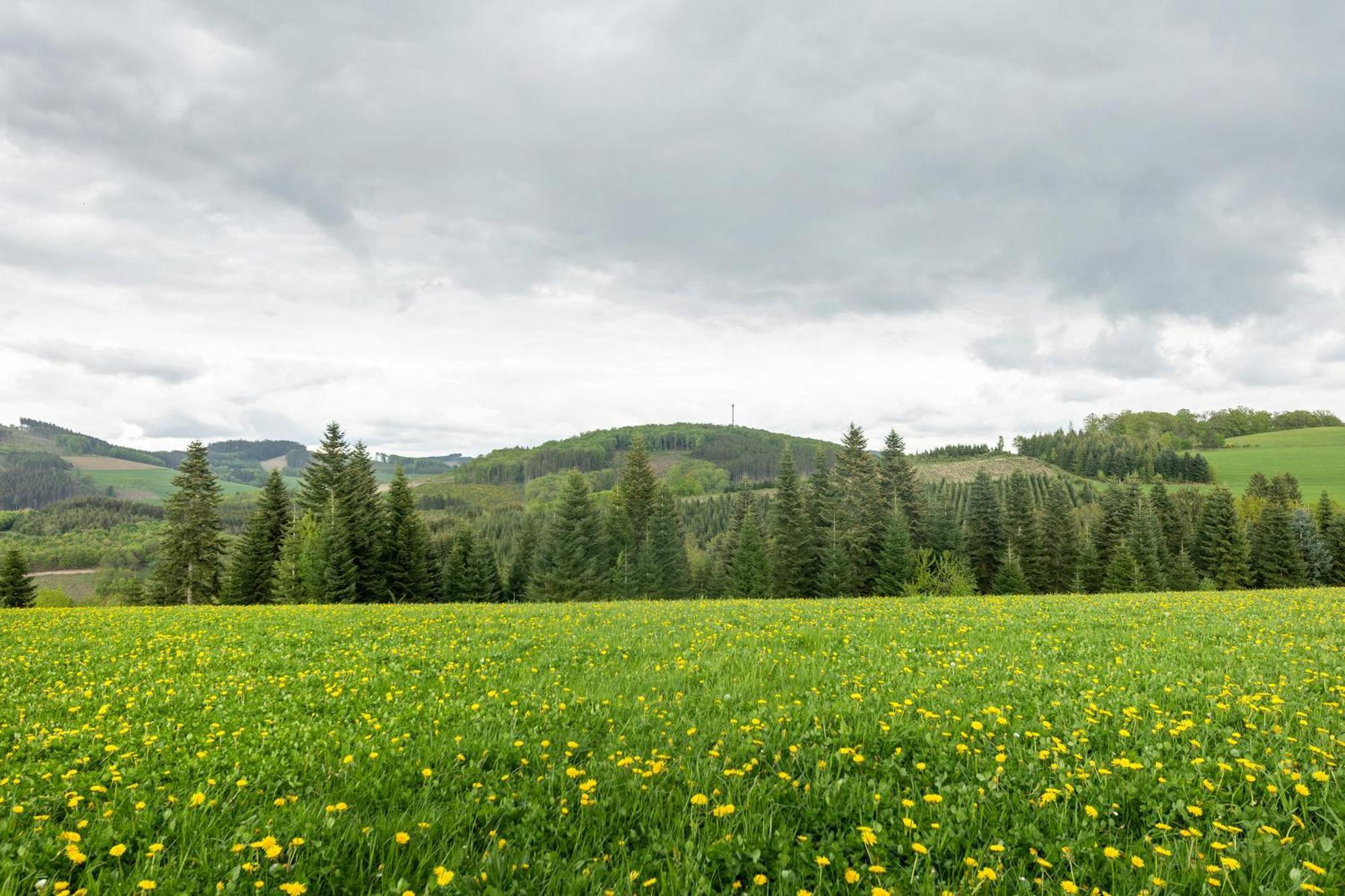 Ferienwohnung Peitz Eslohe Buitenkant foto